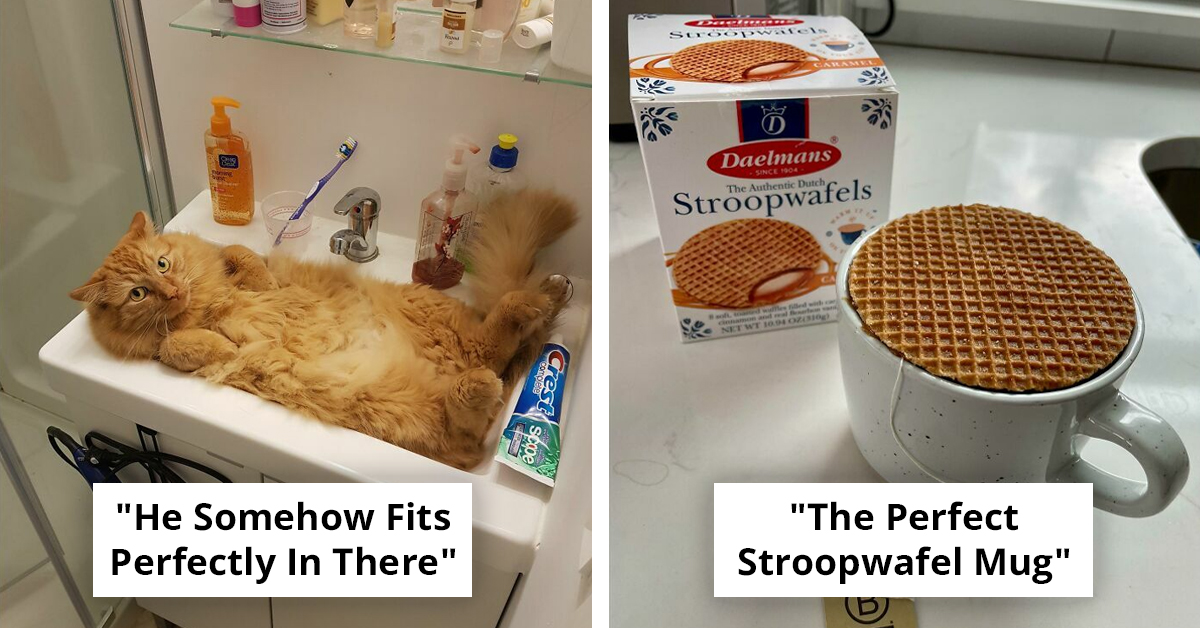 50 Incredibly Satisfying Moments of Things Fitting Together Perfectly