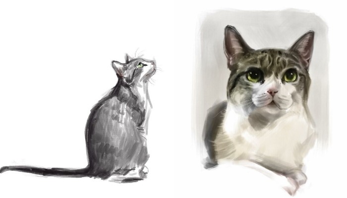 19 Minimalist Sketches By Jinodae That Capture The Essence Of Cats