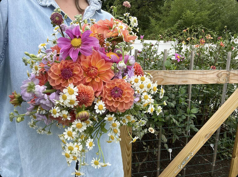 Wild Flowers and Herbs